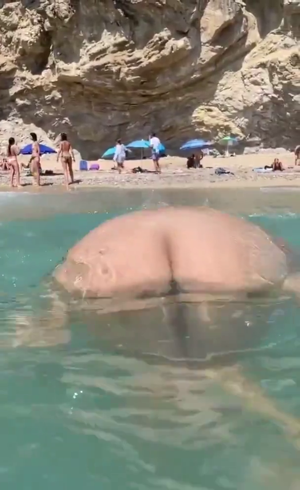 Bagno al mare col buttplug