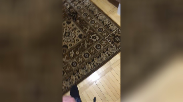 Splendida ragazza con la fica pelosa viene scopata dal fidanzato 👩❤️👨