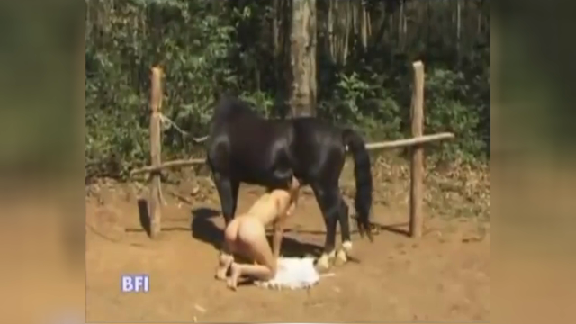 Video storico del pompino al cavallo (non è Cicciolina)