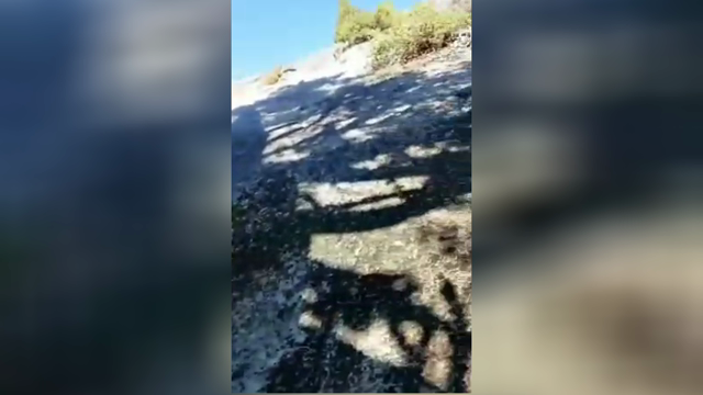Siamo andati al parco nazionale ma io voglio solo scoparmela